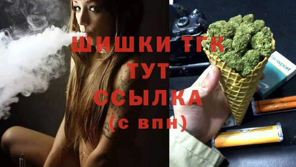 spice Коряжма