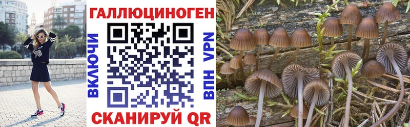 Галлюциногенные грибы ЛСД  хочу   Хилок 