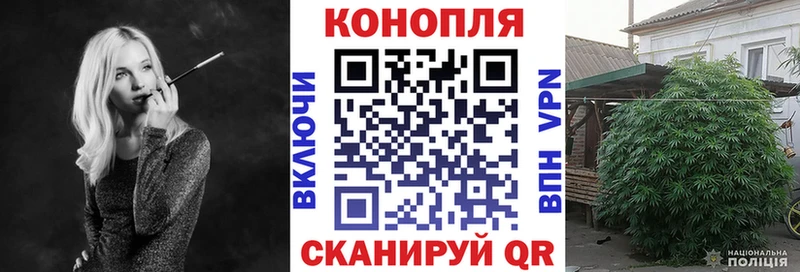 купить наркотик  mega ONION  МАРИХУАНА THC 21%  Хилок 